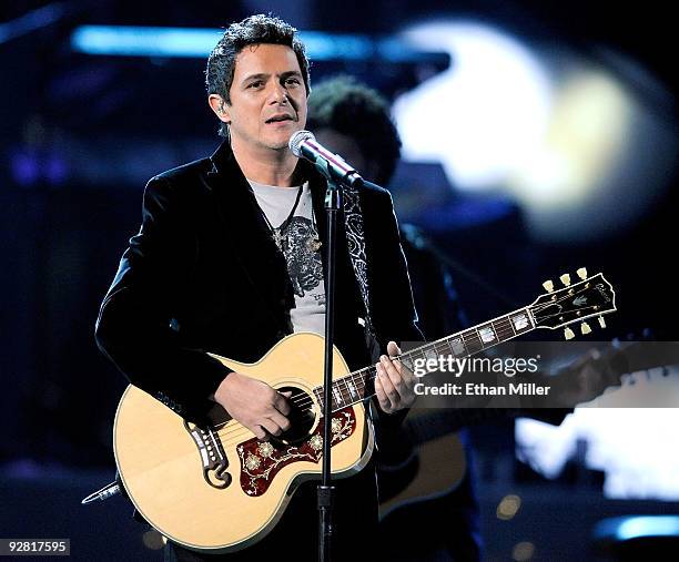 Audience at a Alejandro Sanz concert
